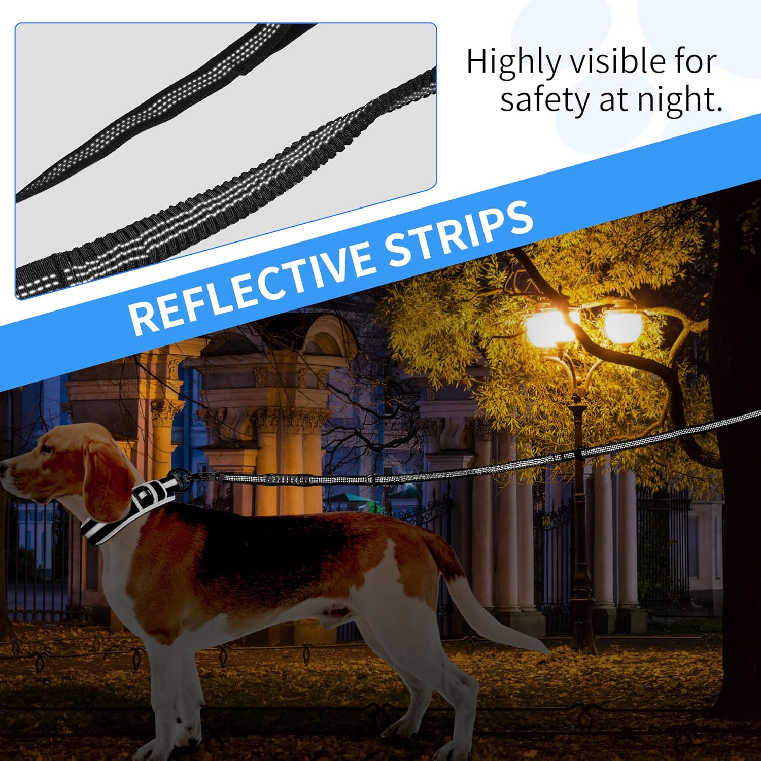 Highly Reflective Stretch Dog Leash