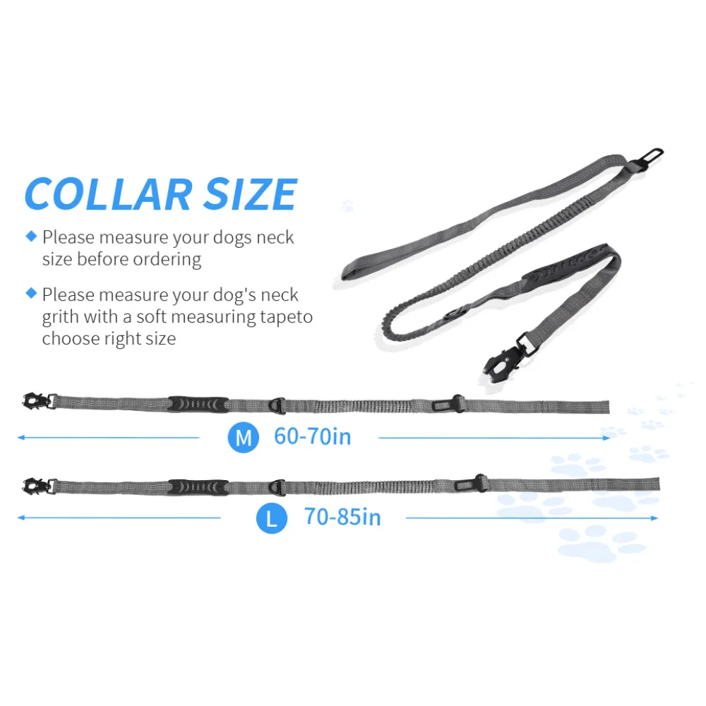 Highly Reflective Stretch Dog Leash