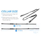 Highly Reflective Stretch Dog Leash