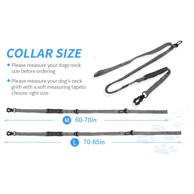 Highly Reflective Stretch Dog Leash