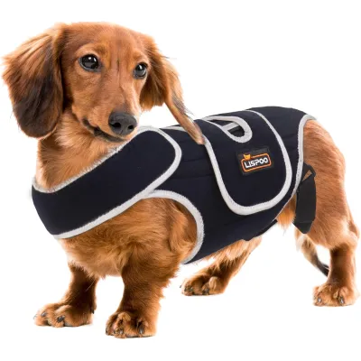 Dog Back Brace for IVDD with Reflective Design 01