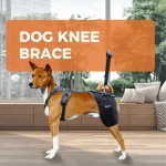 LISPOO Dog Hip Dysplasia Brace with Handle
