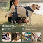 Adjustable Dog Rear Leg Brace