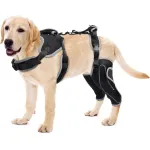 Adjustable Dog Rear Leg Brace