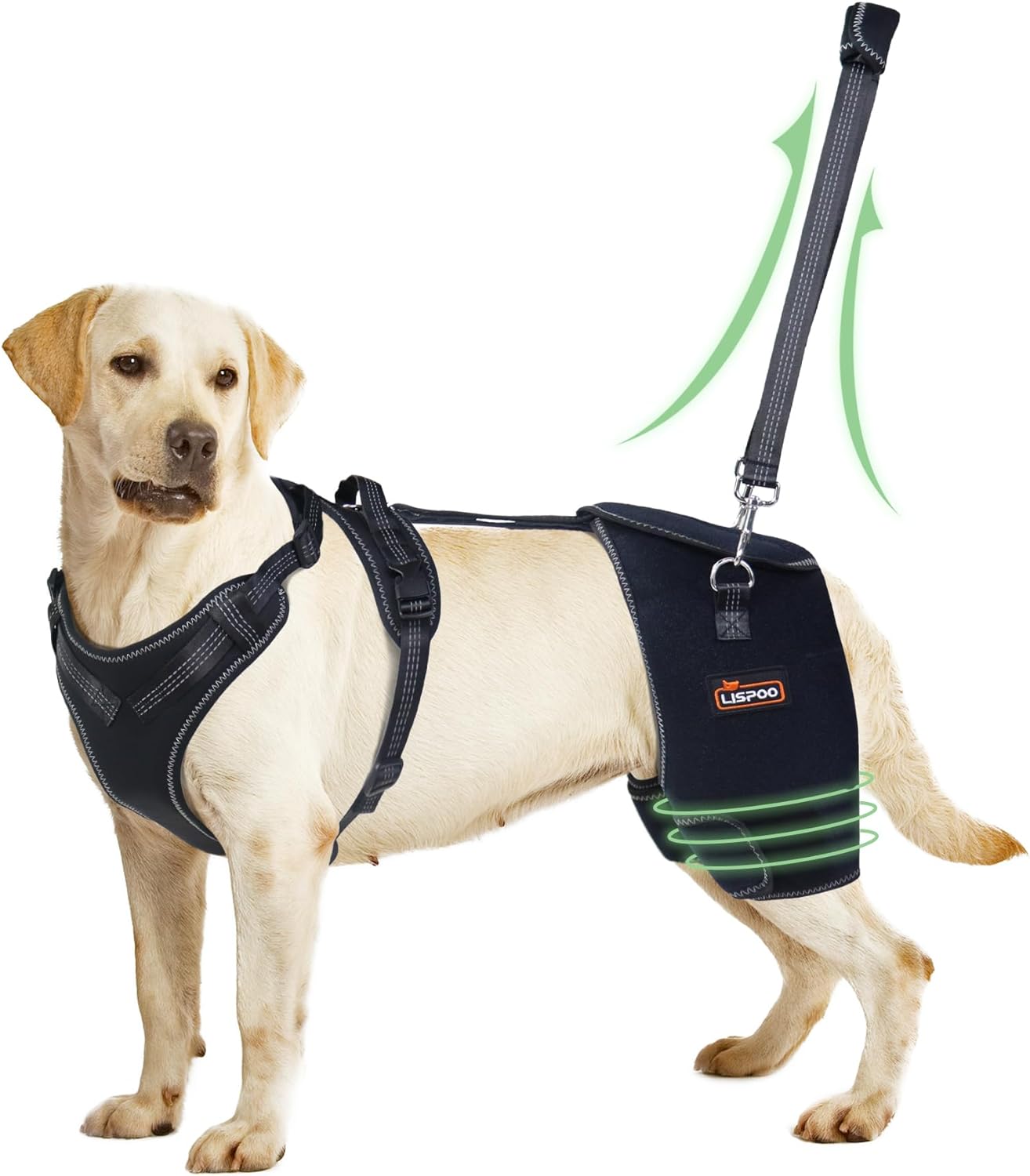 LISPOO Dog Hip Dysplasia Brace with Handle