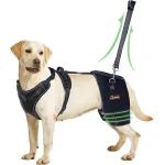 LISPOO Dog Hip Dysplasia Brace with Handle
