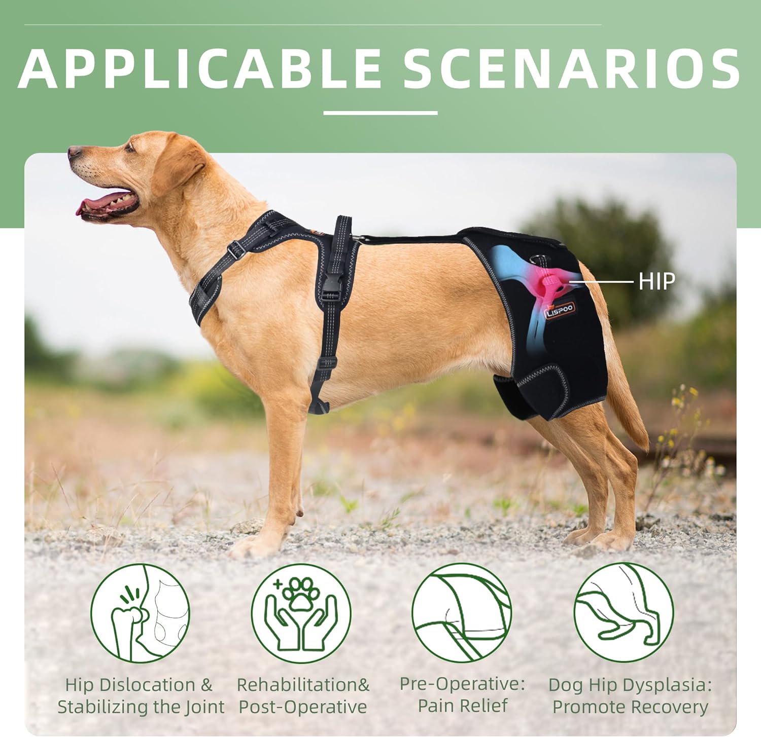 LISPOO Dog Hip Dysplasia Brace with Handle