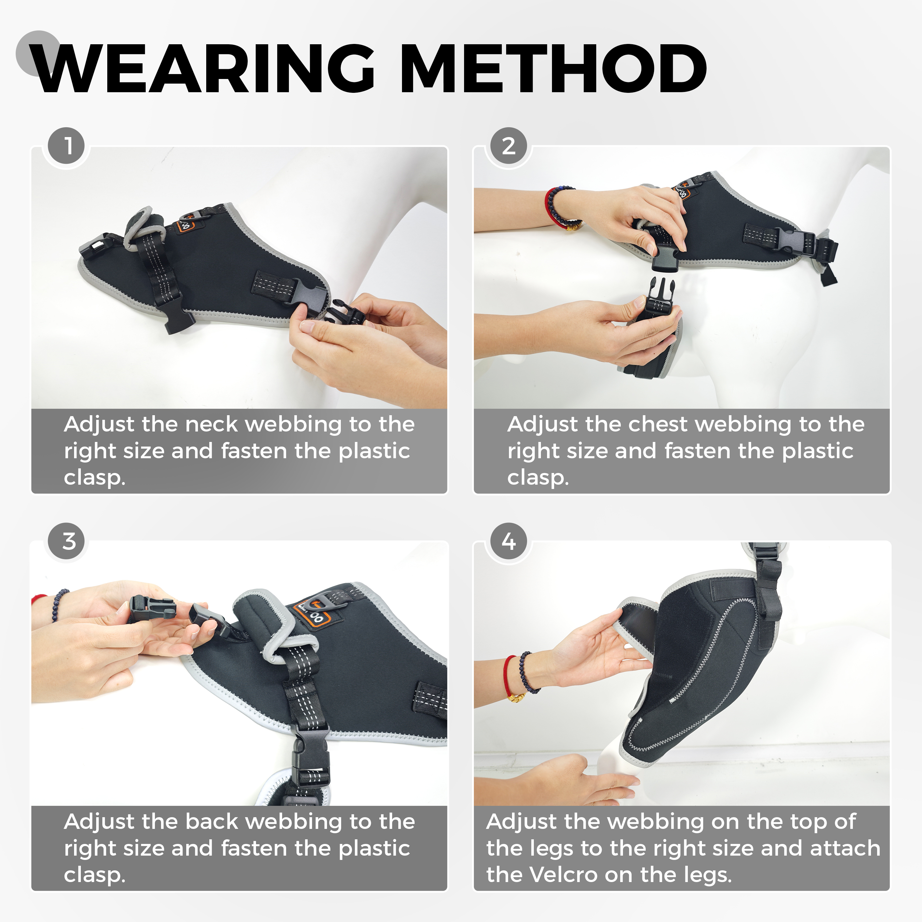 Adjustable Dog Rear Leg Brace