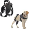 Adjustable Dog Rear Leg Brace