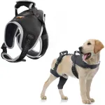 Adjustable Dog Rear Leg Brace