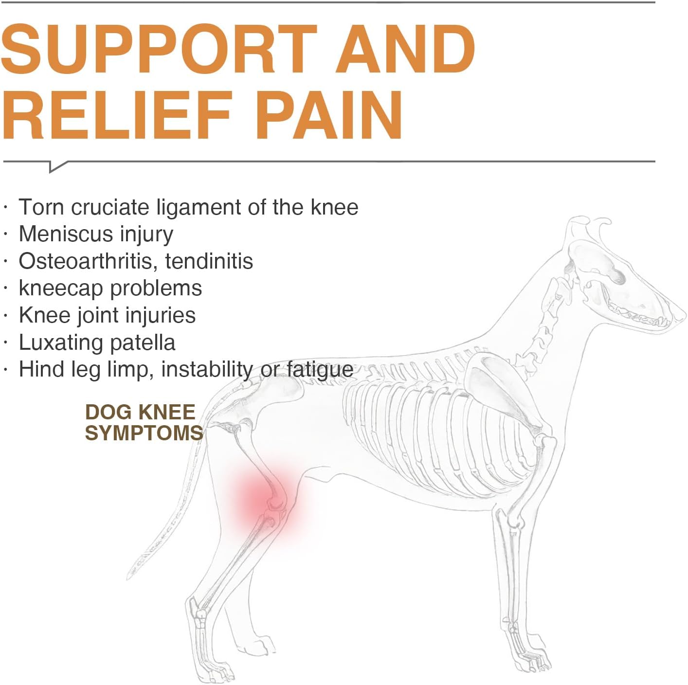 LISPOO Dog ACL Knee Braces