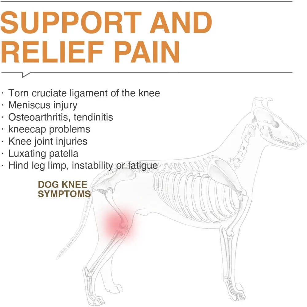 LISPOO Dog ACL Knee Braces