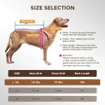 Field Protection Vest for Small and Medium Dogs