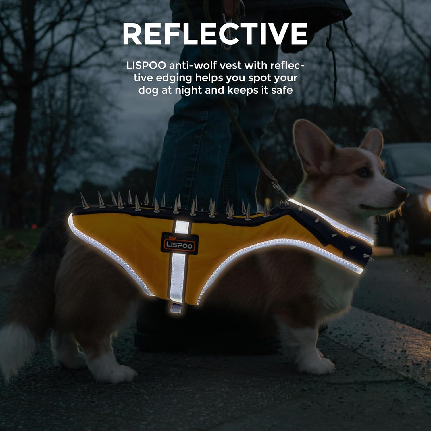 Field Protection Vest for Small and Medium Dogs