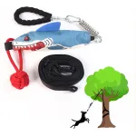 Multiple Dog Tug of War Teething Toys