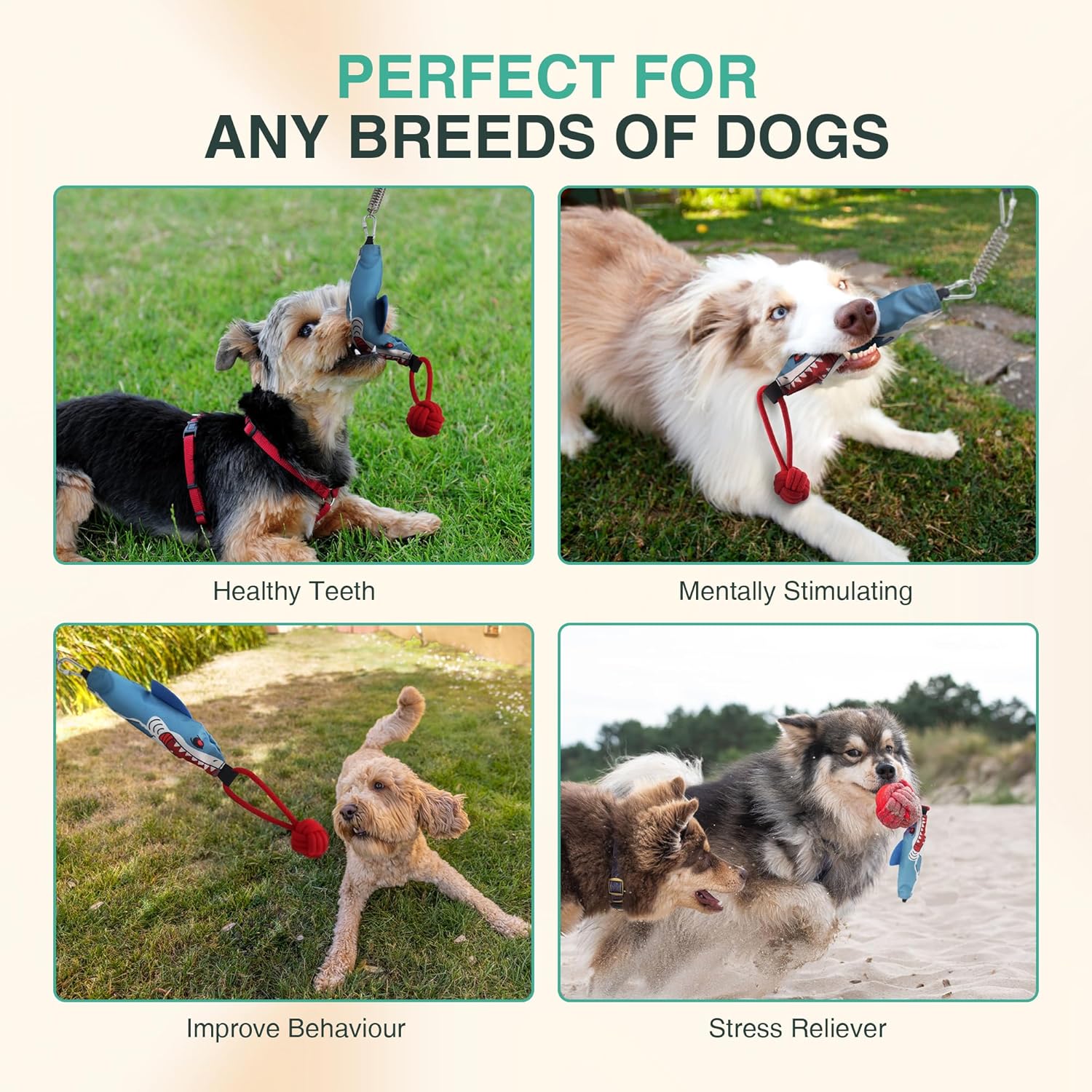 Multiple Dog Tug of War Teething Toys