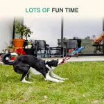 Multiple Dog Tug of War Teething Toys