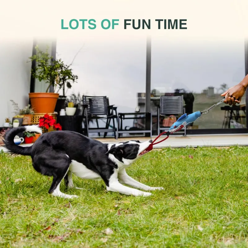 Multiple Dog Tug of War Teething Toys