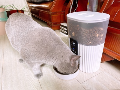 Automatic Cat Feeder With Wide Angle Hd Camera 3L review Gianna Herzler