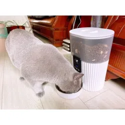Automatic Cat Feeder With Wide Angle Hd Camera 3L review Gianna Herzler