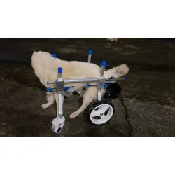 Dog Wheelchairs for Dog Leg Paralyzed Weakness review Baldwin Alerander