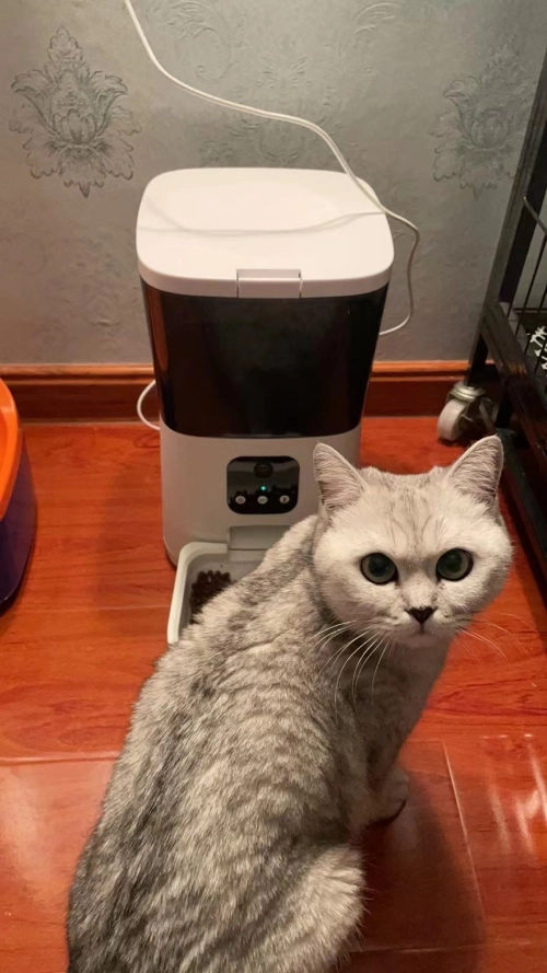 Cat & Dog Automatic Feeder With HD Camera 6L review 