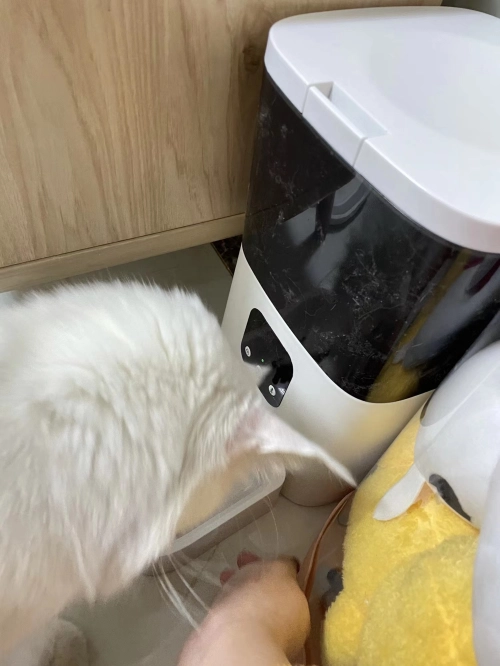 Cat & Dog Automatic Feeder With HD Camera 6L review 