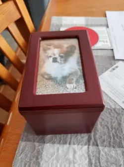Pet Urns For Dogs review Rebecca Adams