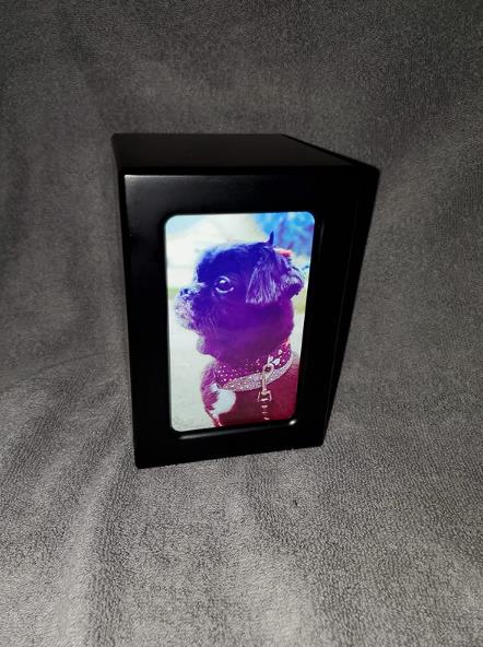 Pet Urns For Dogs review Adam Carllyle