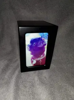 Pet Urns For Dogs review Adam Carllyle