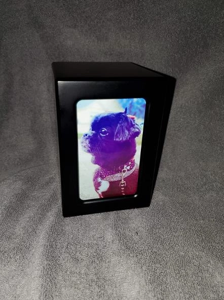 Pet Urns For Dogs review 