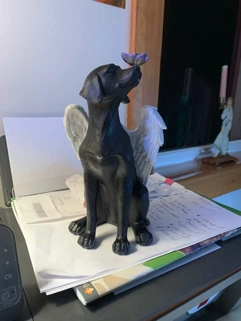 Dog Angel Memorial Stones review 