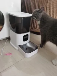 Cat & Dog Automatic Feeder With HD Camera 6L review 0