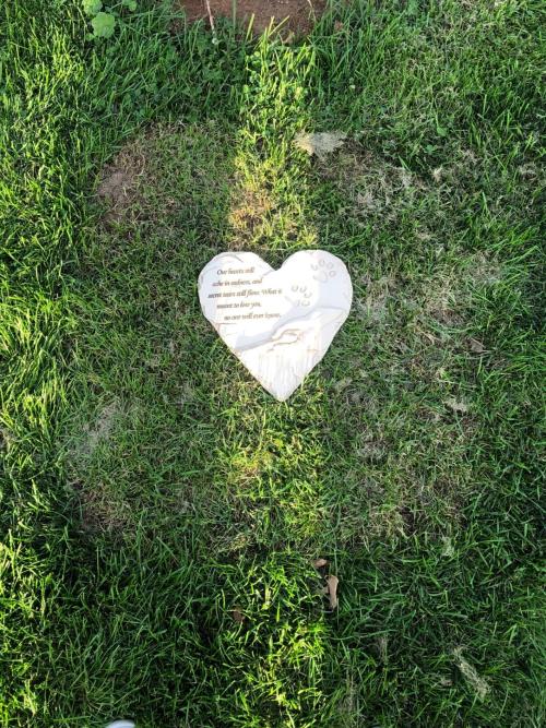 Heart-shaped Dog Headstone Monument Customizable review 