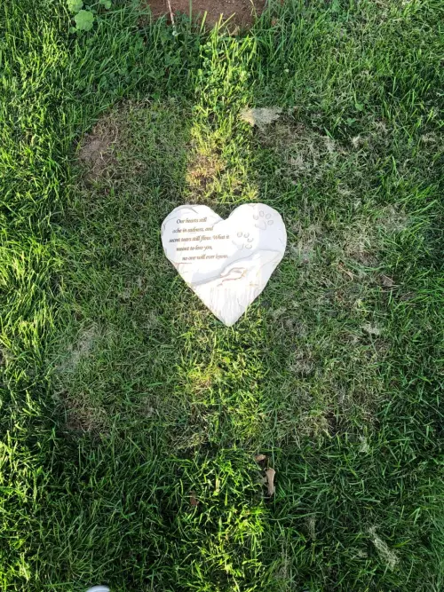 Heart-shaped Dog Headstone Monument Customizable review 