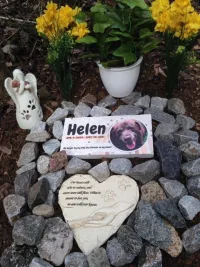 Heart-shaped Dog Headstone Monument Customizable review 0