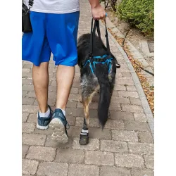 Dog Sling For Back Legs Harness review Michael