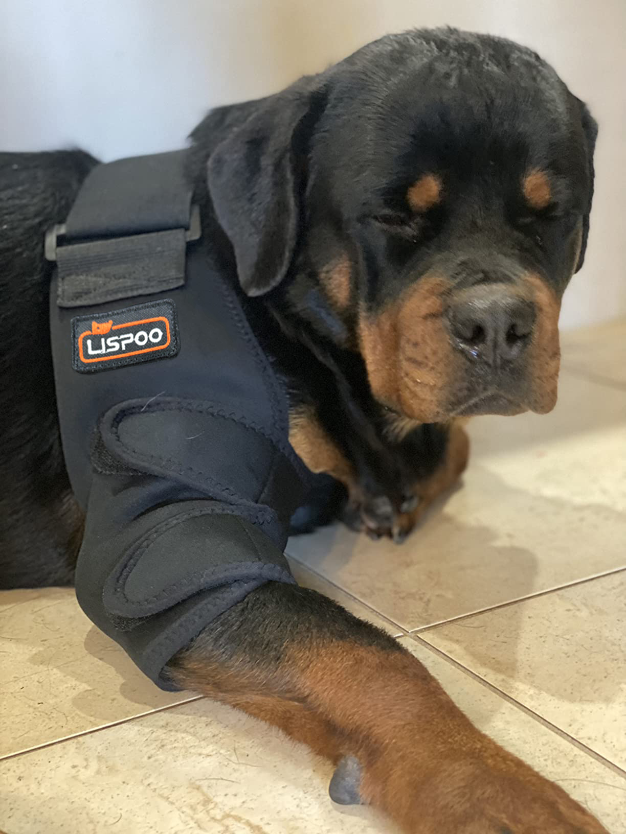 LISPOO Dog Elbow Braces For Offers Elbow Support And Protection Crawlpaw