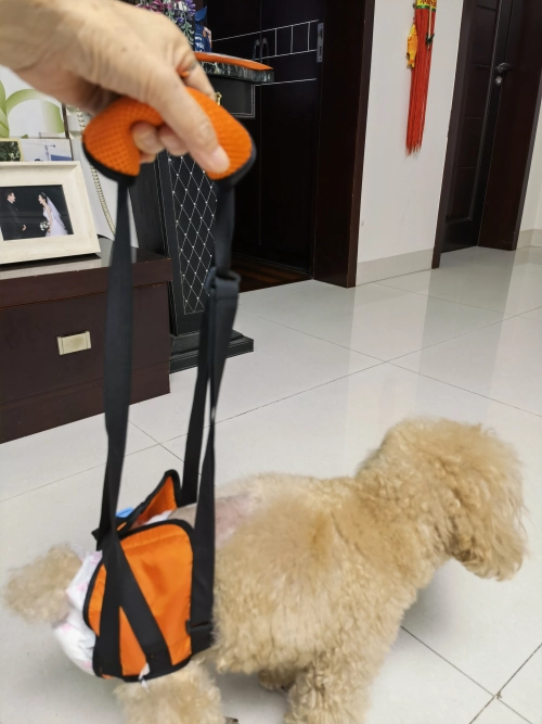 Dog Sling for Back Legs review 