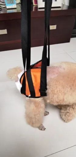 Dog Sling for Back Legs review Oscar Hood 03