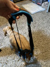 Dog Sling For Back Legs Harness review 2