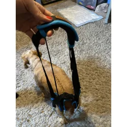 Dog Sling For Back Legs Harness review Bernard Eden 03
