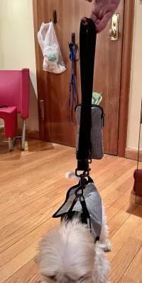 Full Body Dog Lifting Harness With Storage Bag review 2
