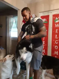 Dog Lift and Mobility Support Harness review 1