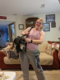 Dog Lift and Mobility Support Harness review 0