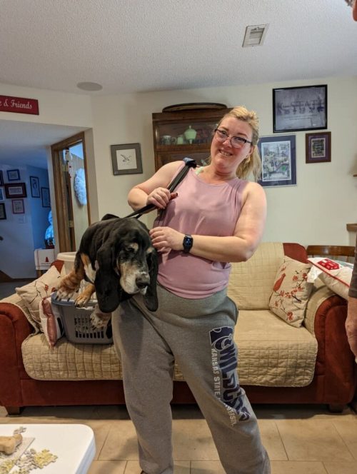Dog Lift and Mobility Support Harness review 