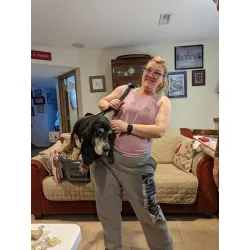 Dog Mobility Support Sling for Waist review Nina Julia