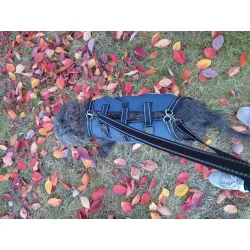 Full Body Dog Lift Harness review Daisy Beck 02