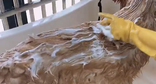 Cat Dog Multifunctional Silicone Massage Bath Brush review