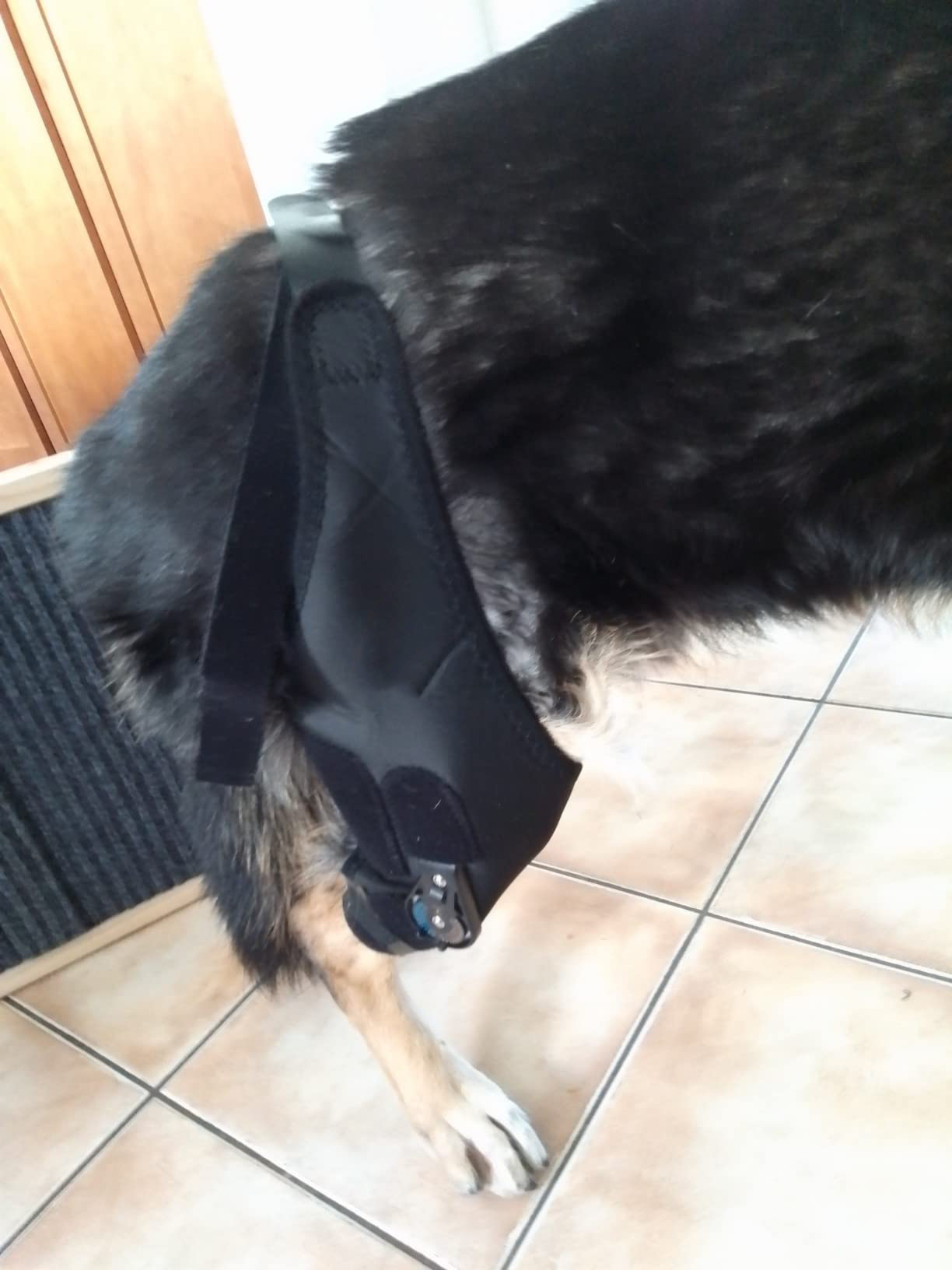 LISPOO Dog Knee Brace With Adjustable Hinge Stabilizer review Linda Billy 03